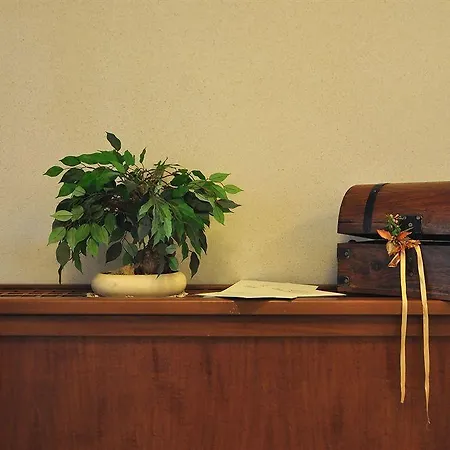 Palace Savuto Malito